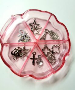 Organizador con tapa x6 divisiones