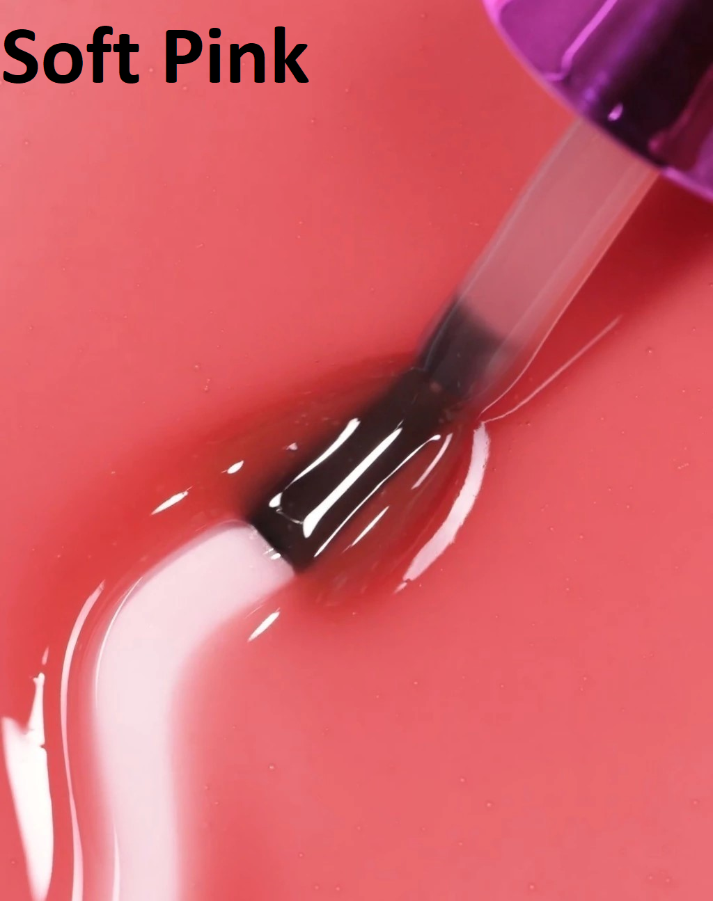 vid-20250722-wa0085-28be56dd5809bc4eaf17579051993701-1024-1024.