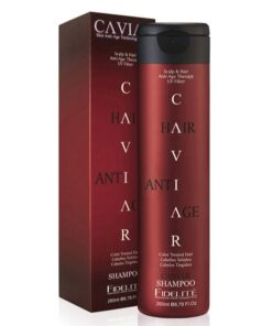 Shampoo Cabellos Teñidos 260ml FIDELITE