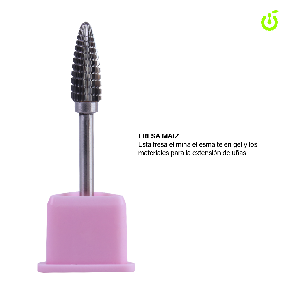 BH003389-FRESA